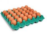 Bandeja 30 Ovos